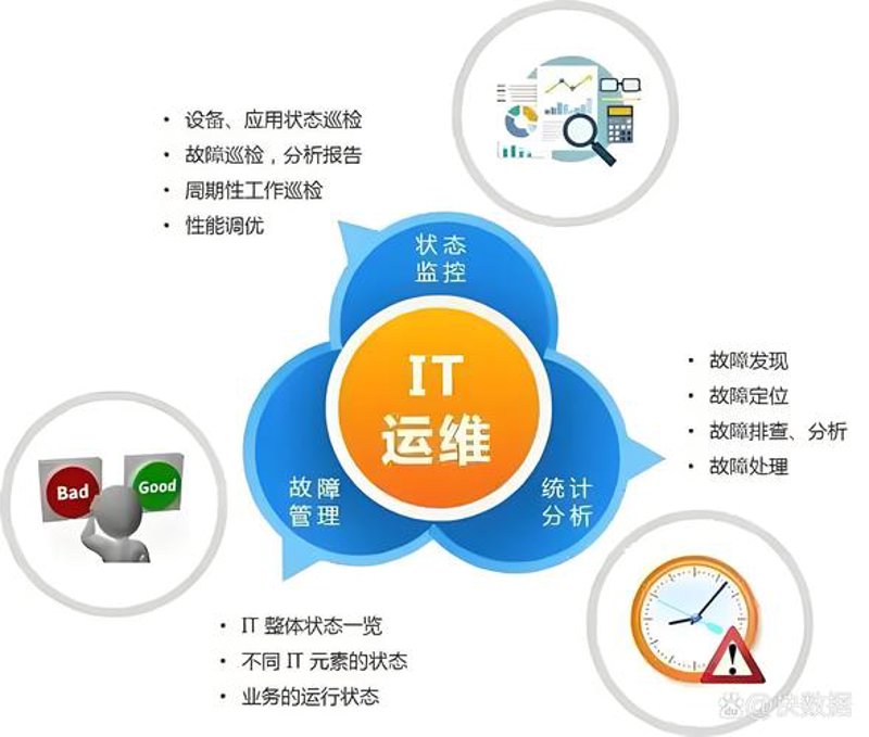 上海网络科技公司的创新与发展